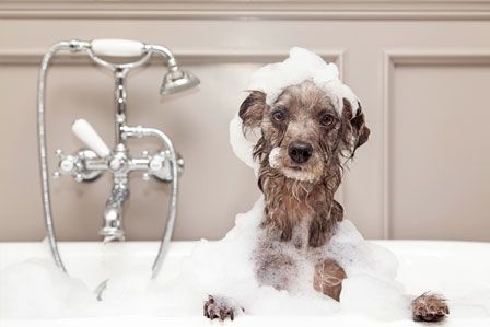 heating repair richmond