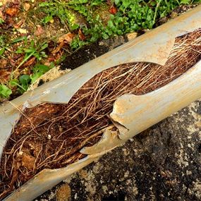 clogged pipe.