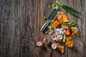 garbage disposal unit